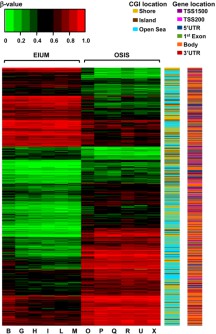 Figure 4.  A combined heat map shows the differential methylation of the 5,423 matched CpGs in conjunction with gene and CGI context for EIUM and OSIS. Relative DNA methylation from each subject is encoded for each CpG from unmethylated (β-value&VeryThinSpace;=&VeryThinSpace;0; green) to methylated (β-value&VeryThinSpace;=&VeryThinSpace;1; red), and clustered based on the change in methylation. CGI and gene context are encoded in the right columns.